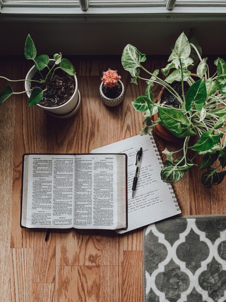 white book page beside green potted plant